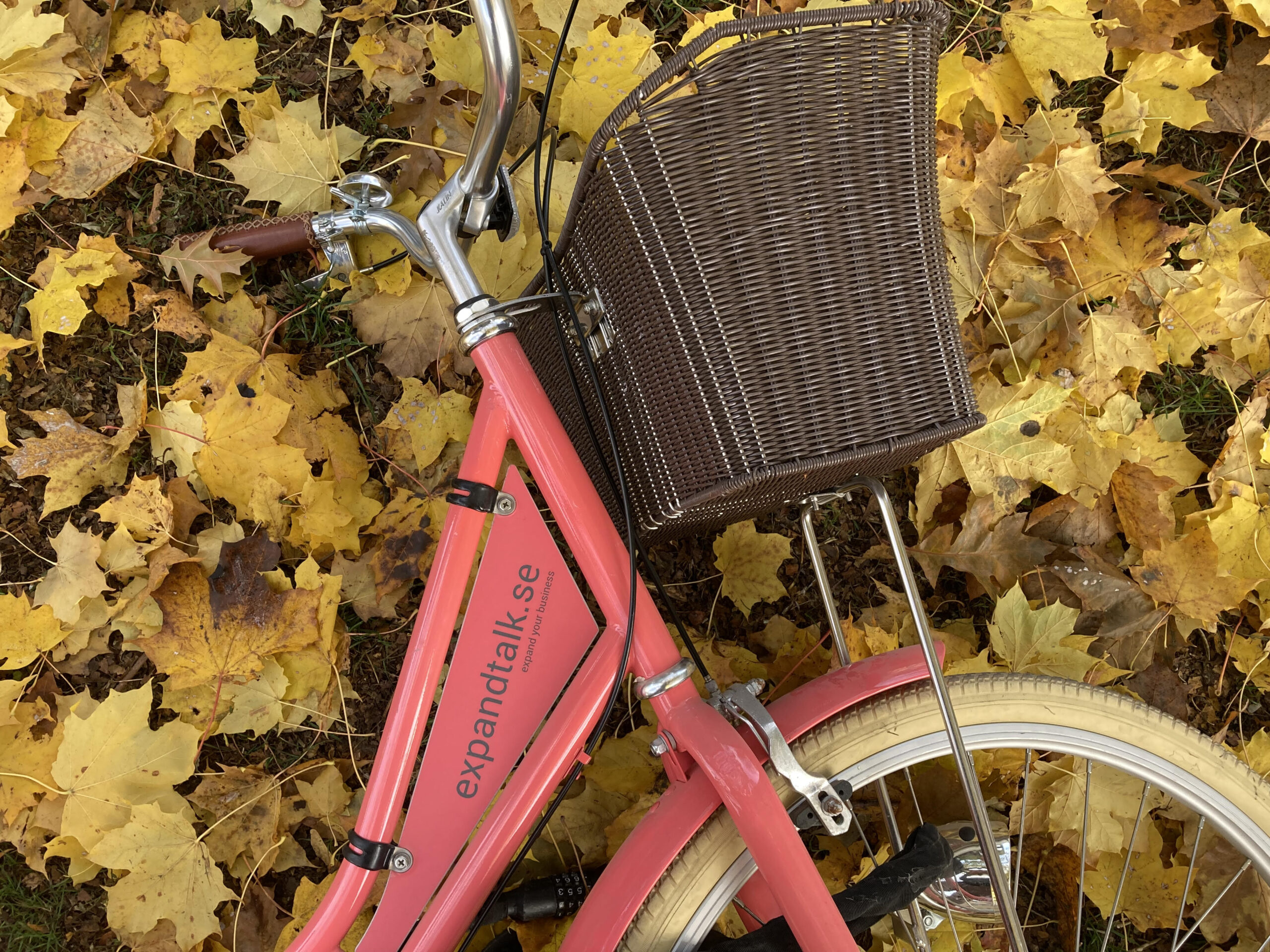 ESG Och V rderingar Hos Expandtalk