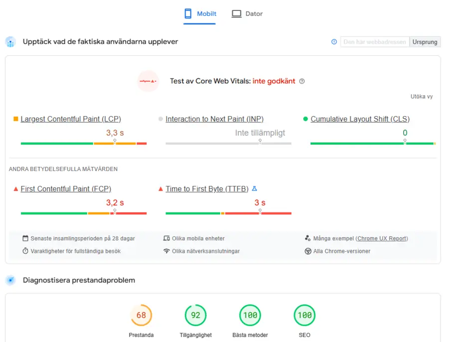 Skärmdump från Google Page Speed tool